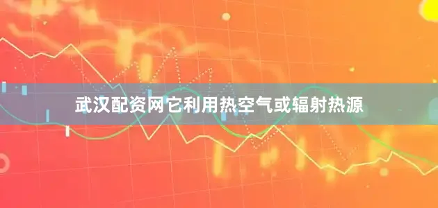 武汉配资网它利用热空气或辐射热源