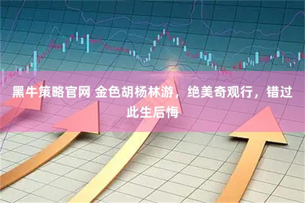 黑牛策略官网 金色胡杨林游，绝美奇观行，错过此生后悔