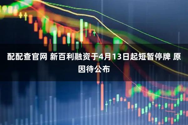 配配查官网 新百利融资于4月13日起短暂停牌 原因待公布